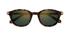 Cartier CT0584S Square Sunglasses -CARTIER Sunglasses- Optivision