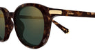 Cartier CT0584S Square Sunglasses -CARTIER Sunglasses- Optivision