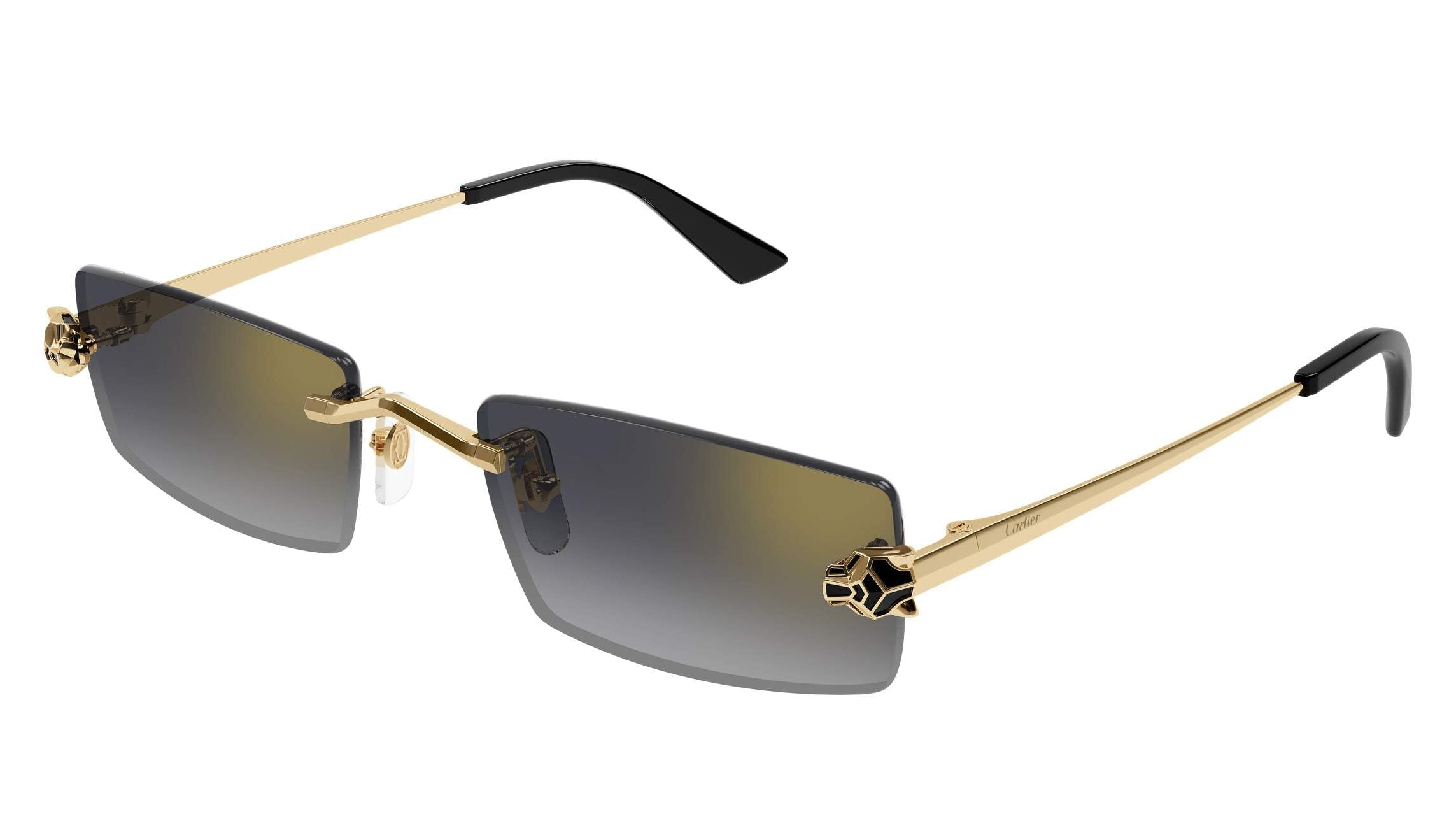 Cartier CT0598S Rectangle Sunglasses