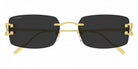 CARTIER CT0605S Signature C de Cartier -CARTIER Sunglasses- Optivision