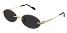 CARTIER CT0615S -CARTIER Sunglasses- Optivision