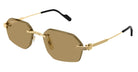 CARTIER CT0616S -CARTIER Sunglasses- Optivision