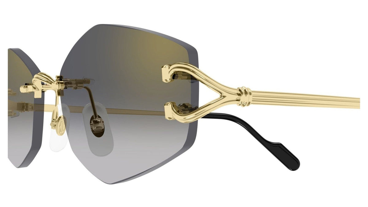 CARTIER CT0620S -CARTIER Sunglasses- Optivision