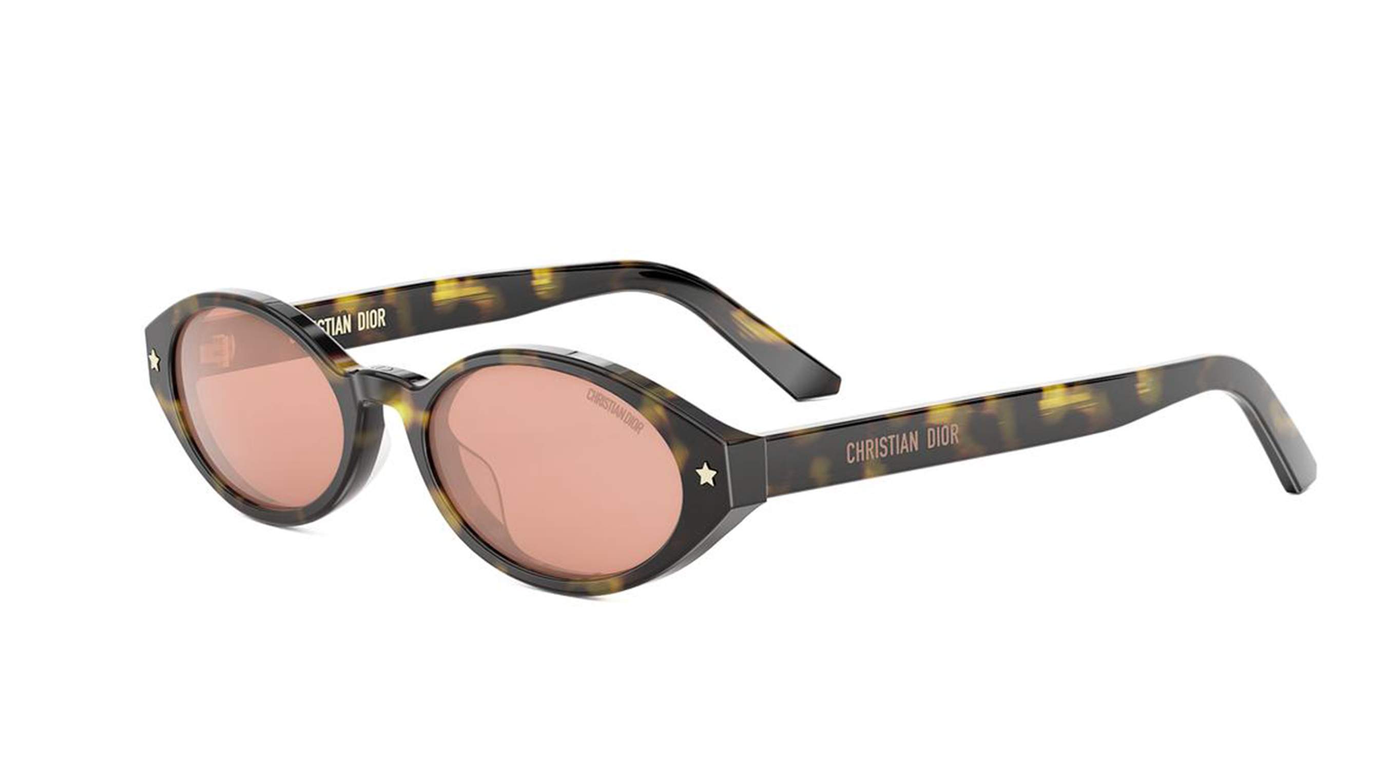 Dior DIORPACIFIC R1I Oval Sunglasses