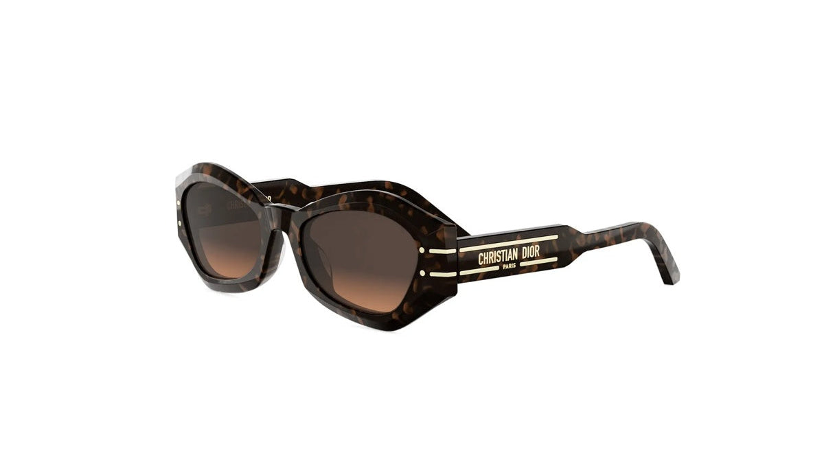 Dior B1U DiorSignature Square Sunglasses