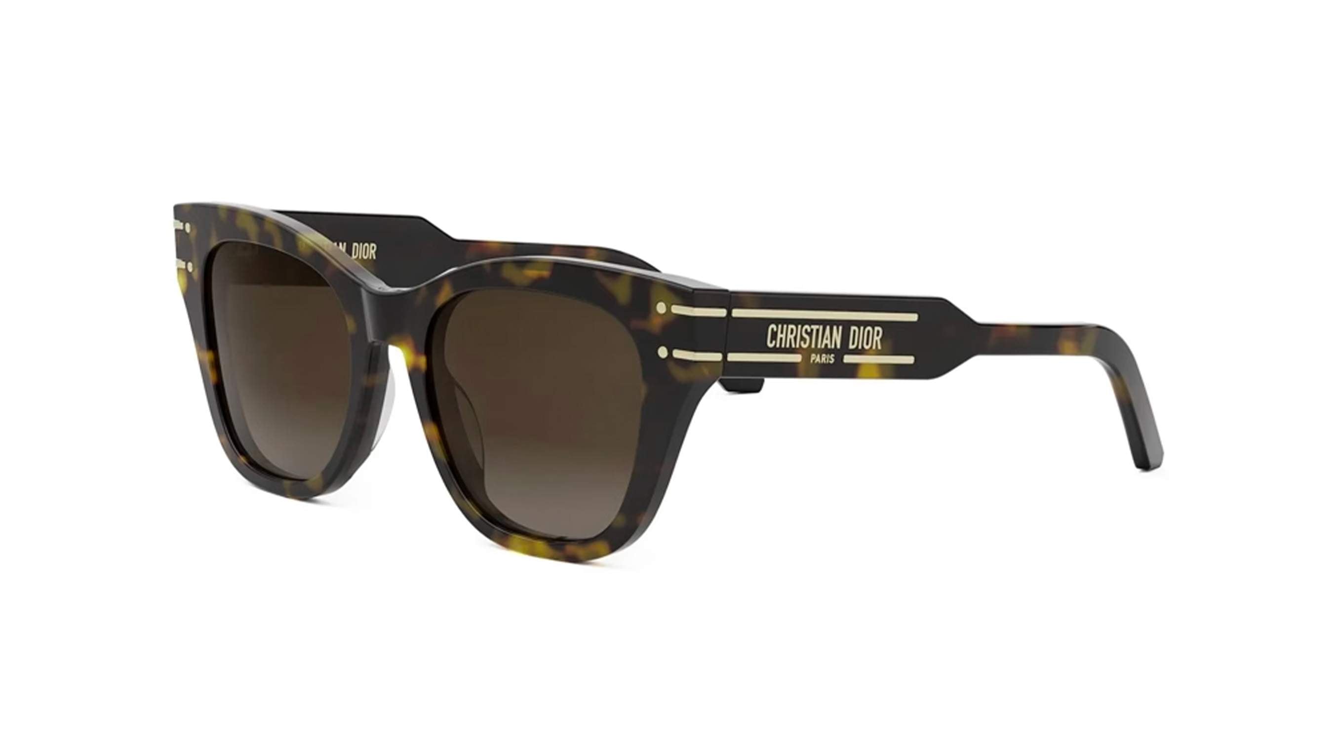 Dior DIORSIGNATURE B4I Cat Eye Sunglasses