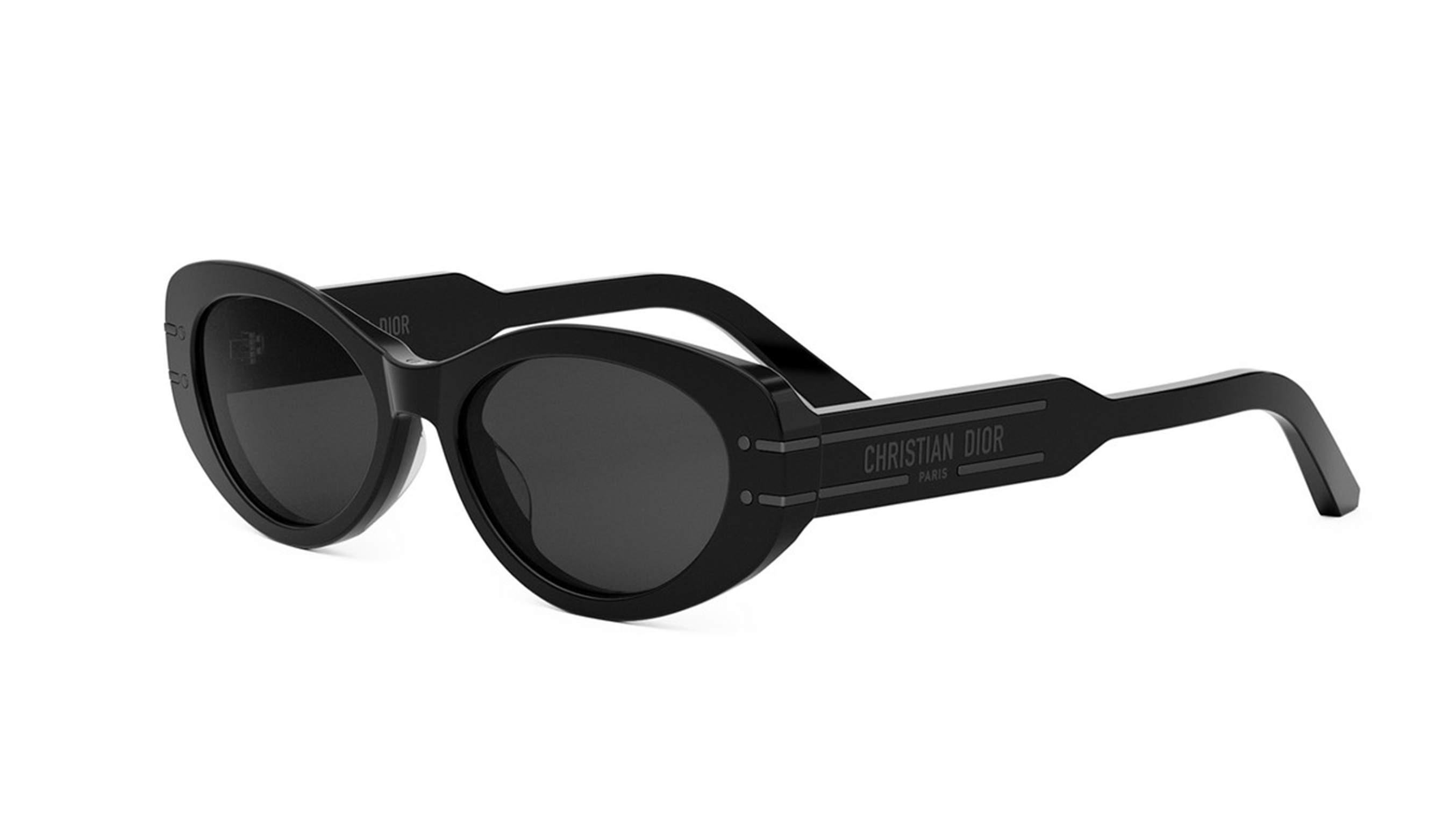 Dior DIORSIGNATURE B8U Oval Sunglasses