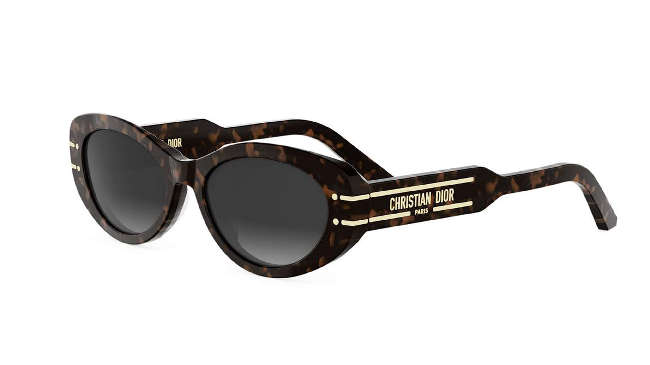 Dior DIORSIGNATURE B8U Oval Sunglasses