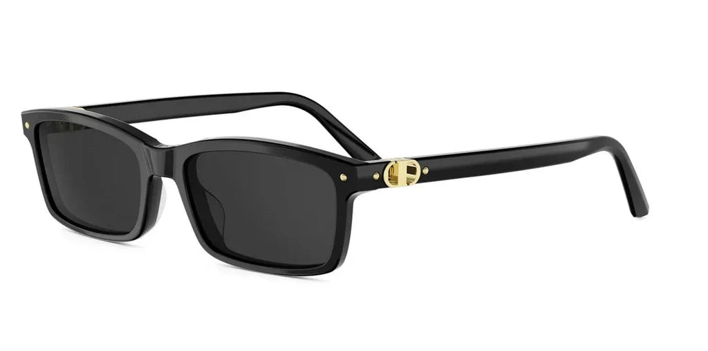 Dior PETIT CD S1I Rectangle Sunglasses
