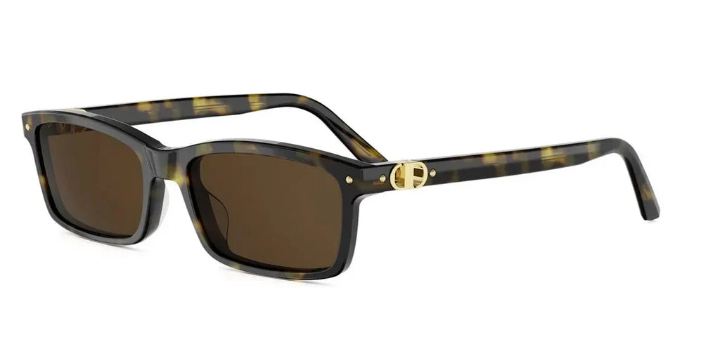 Dior PETIT CD S1L Rectangle Sunglasses
