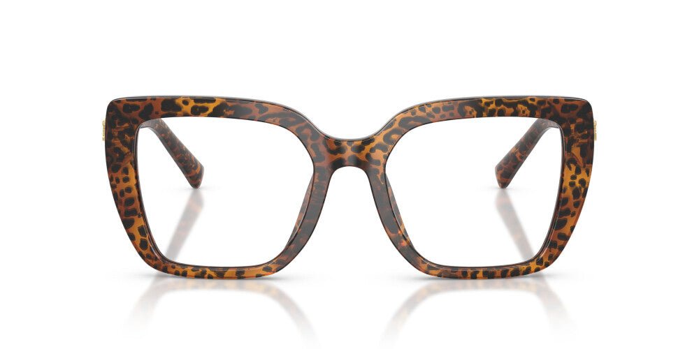 Dolce & Gabbana DG3441 Square Eyeglasses -DOLCE & GABBANA Eyeglasses- Optivision