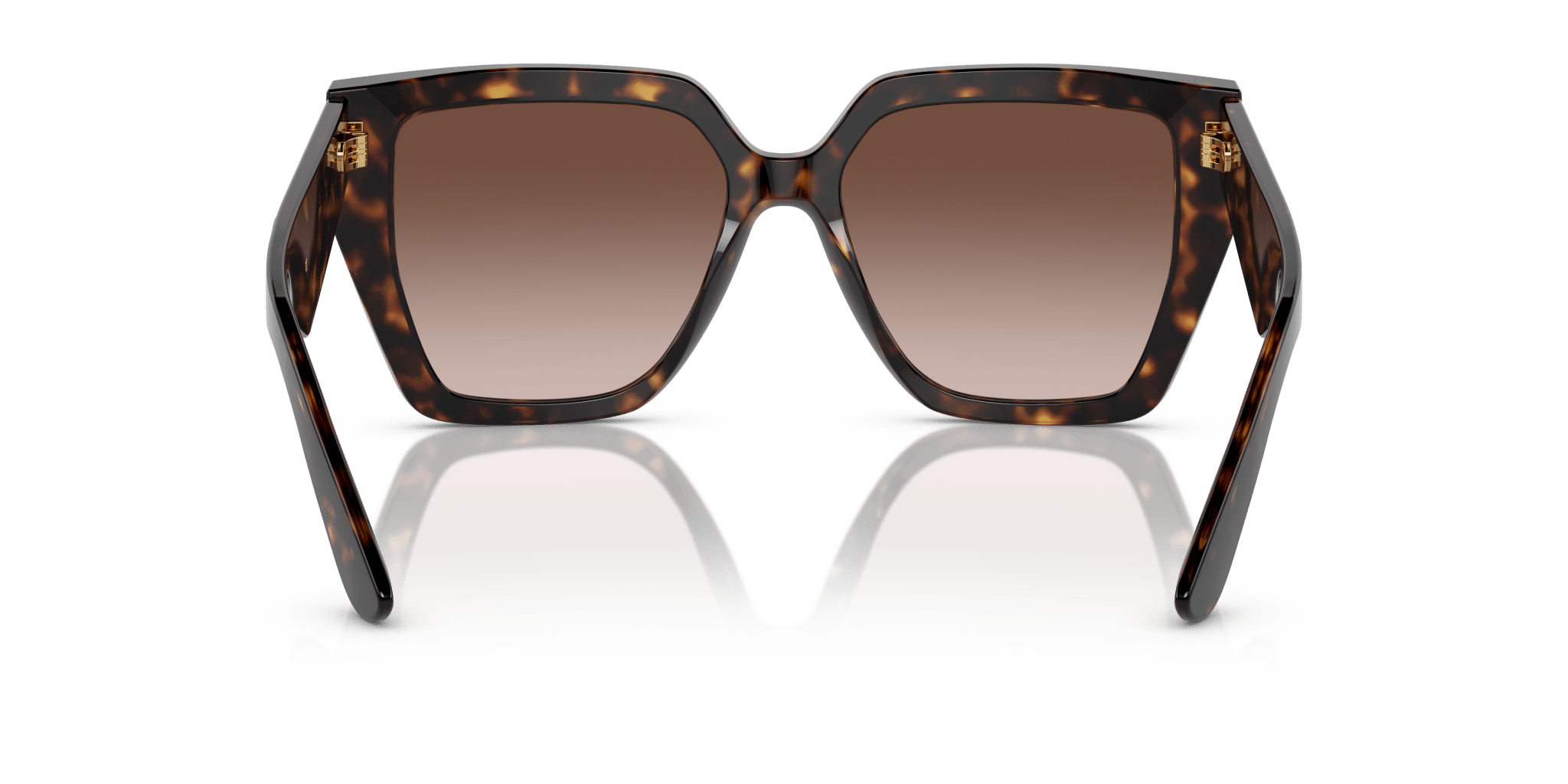 DOLCE & GABBANA DG4438 DNA -DOLCE & GABBANA Sunglasses- Optivision