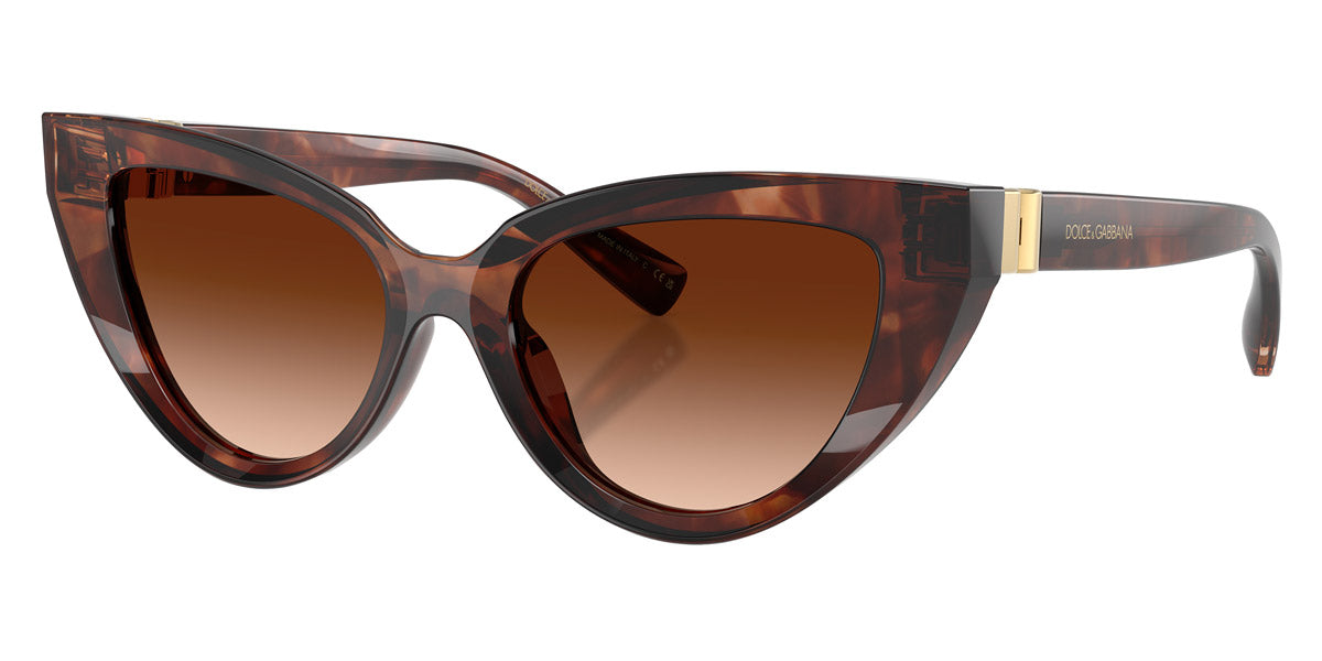 DOLCE & GABBANA DG4497