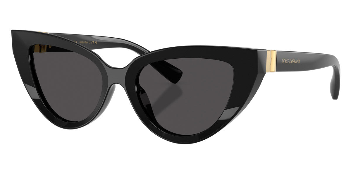 Dolce & Gabbana DG4497 Cat Eye Sunglasses