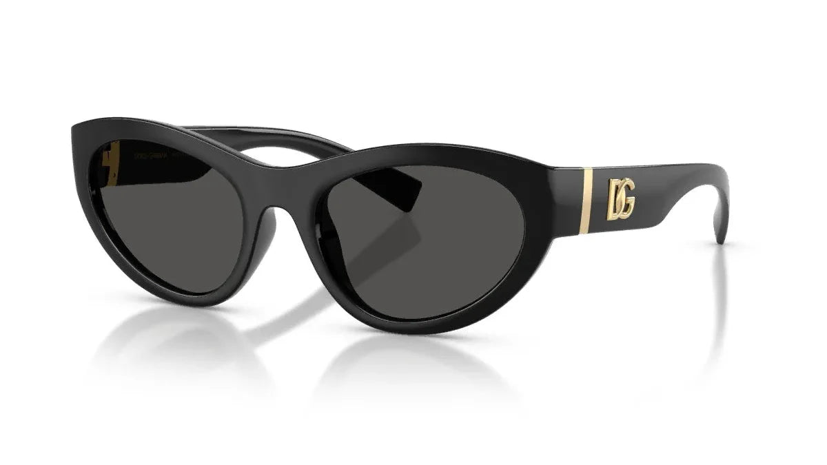 Dolce & Gabbana DG6207 Cat Eye Sunglasses