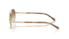 EMPORIO ARMANI EA2171 -EMPORIO ARMANI Sunglasses- Optivision