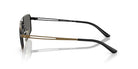 EMPORIO ARMANI EA2173 -EMPORIO ARMANI Sunglasses- Optivision