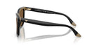 EMPORIO ARMANI EA4261 -EMPORIO ARMANI Sunglasses- Optivision