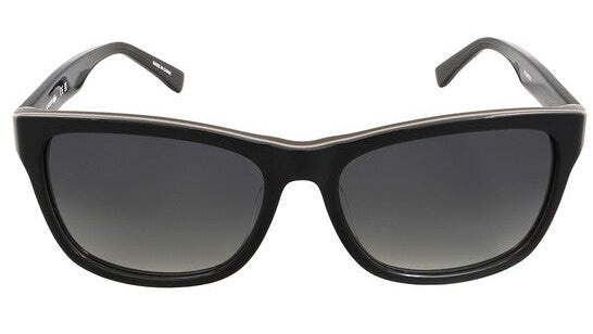 LACOSTE L683SP -LACOSTE Sunglasses- Optivision