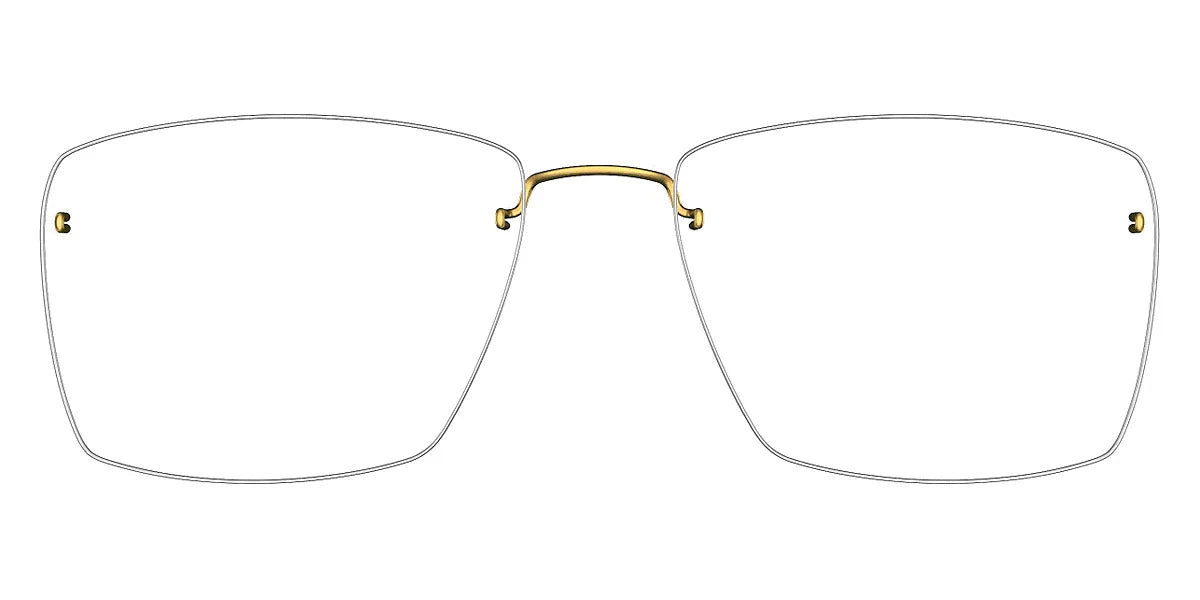 LINDBERG 2498
