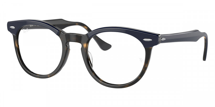 Ray-Ban RX5598 Square Eyeglasses