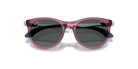 Ray-Ban RJ9082S Panto Sunglasses -RAY-BAN KIDS Sunglasses- Optivision
