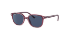 Ray-Ban RJ9093S Junior Leonard Square Sunglasses -RAY-BAN KIDS Sunglasses- Optivision