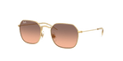 Ray-Ban RJ9594S Irregular Sunglasses -RAY-BAN KIDS Sunglasses- Optivision