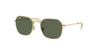 Ray-Ban RJ9594S Irregular Sunglasses -RAY-BAN KIDS Sunglasses- Optivision