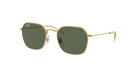 Ray-Ban RJ9594S Irregular Sunglasses -RAY-BAN KIDS Sunglasses- Optivision