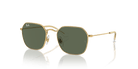 Ray-Ban RJ9594S Irregular Sunglasses -RAY-BAN KIDS Sunglasses- Optivision