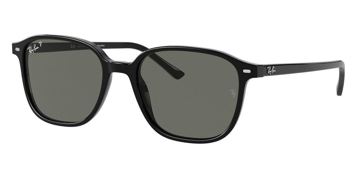 RAY-BAN RB2193