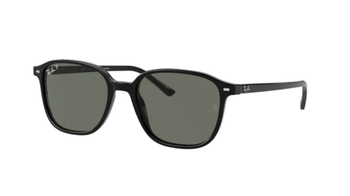 RAY-BAN RB2193F -RAY-BAN Sunglasses- Optivision
