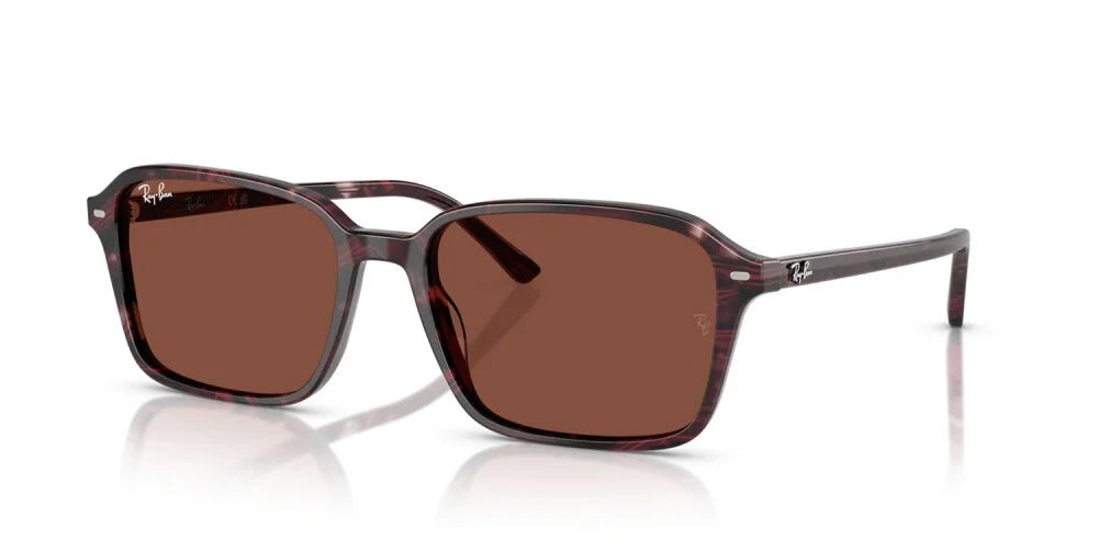 RAY-BAN RB2231 -RAY-BAN Sunglasses- Optivision
