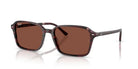RAY-BAN RB2231 -RAY-BAN Sunglasses- Optivision
