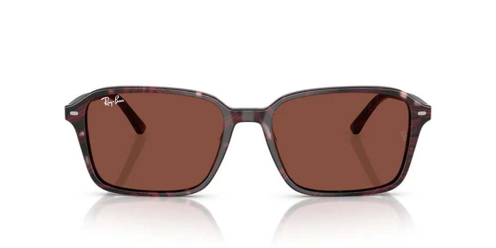 RAY-BAN RB2231 -RAY-BAN Sunglasses- Optivision