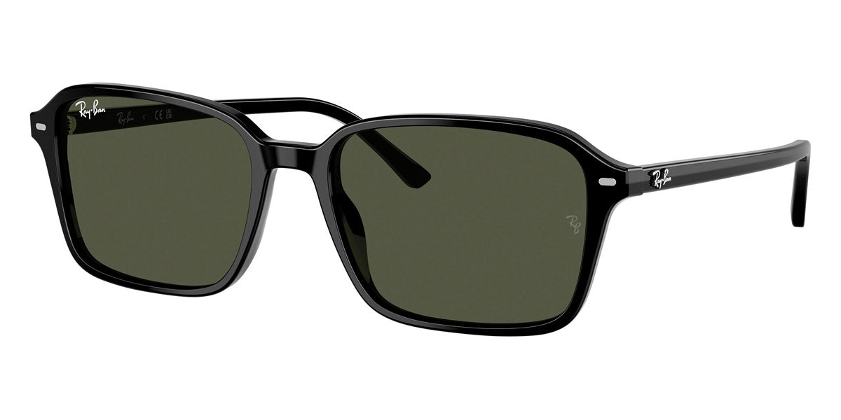 Ray-Ban RB2231 Raimond Square Sunglasses