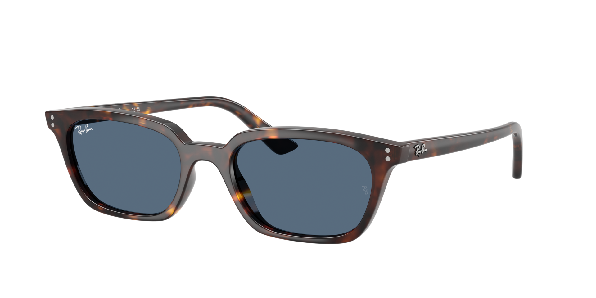 RAYBAN RB4456