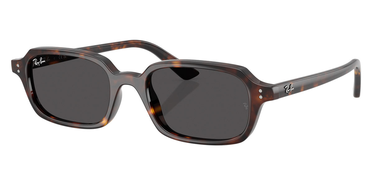 Ray-Ban RB4455 Zuri Pillow Sunglasses