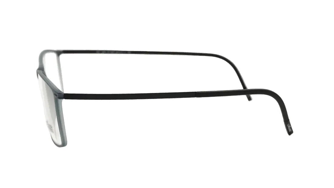 SILHOUETTE 2902 -SILHOUETTE Eyeglasses- Optivision