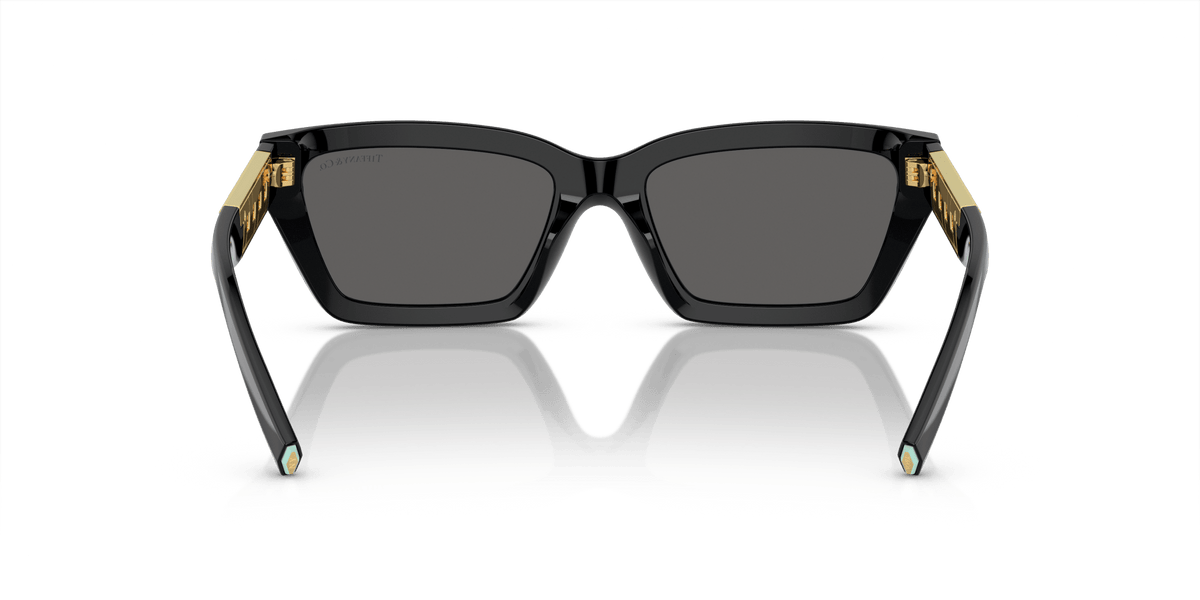 TIFFANY TF4213 -TIFFANY Sunglasses- Optivision