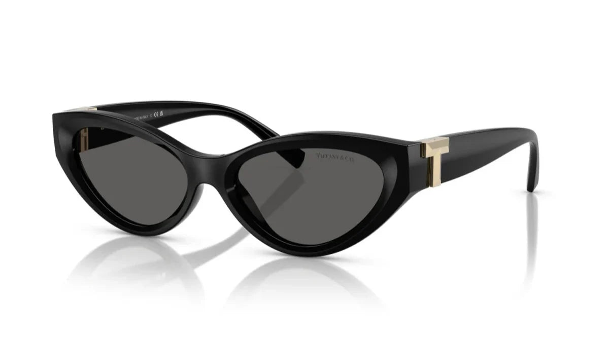 Tiffany & Co. TF4225U Oval Sunglasses -TIFFANY Sunglasses- OptiVision