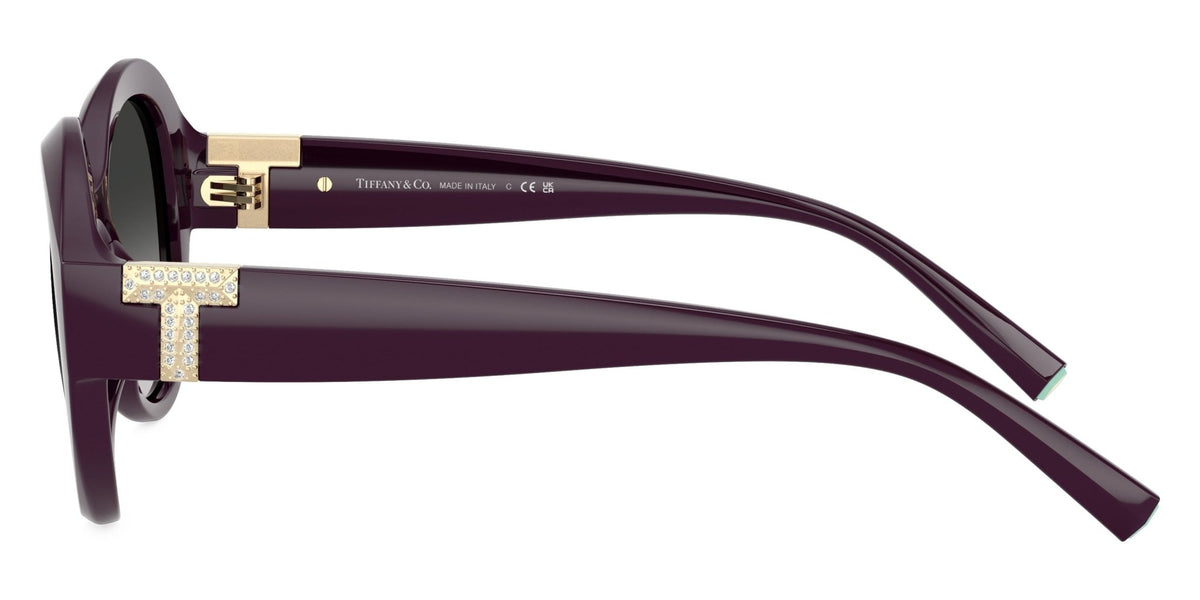TIFFANY TF4227BU -TIFFANY Sunglasses- Optivision