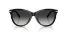 Tiffany & Co. TF4258BU Panto Sunglasses -TIFFANY Sunglasses- Optivision