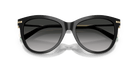 Tiffany & Co. TF4258BU Panto Sunglasses -TIFFANY Sunglasses- Optivision