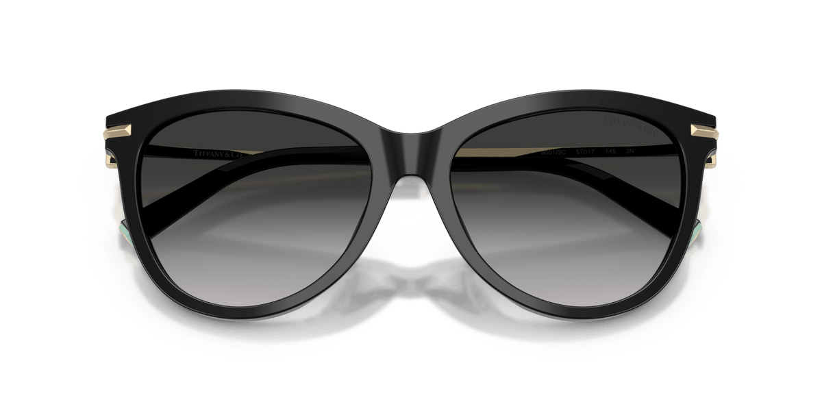 Tiffany & Co. TF4258BU Panto Sunglasses -TIFFANY Sunglasses- Optivision