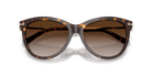 Tiffany & Co. TF4258BU Panto Sunglasses -TIFFANY Sunglasses- Optivision