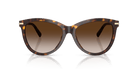Tiffany & Co. TF4258BU Panto Sunglasses -TIFFANY Sunglasses- Optivision
