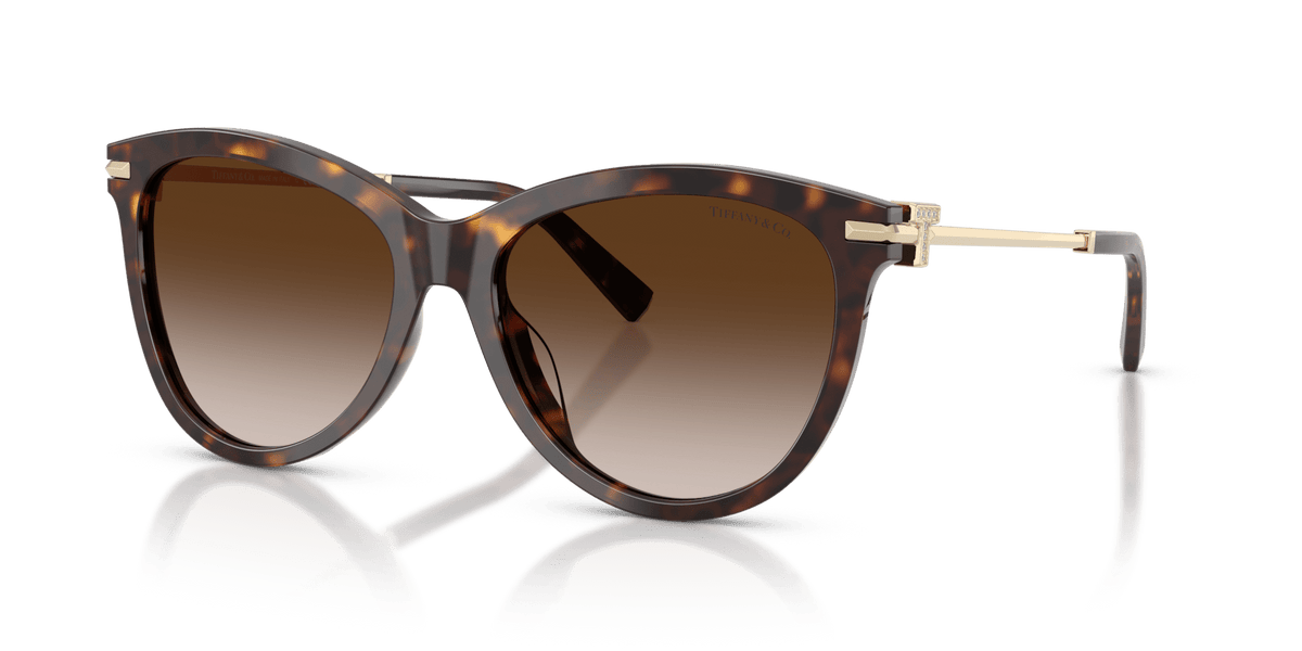 Tiffany & Co. TF4258BU Panto Sunglasses -TIFFANY Sunglasses- Optivision