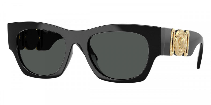 Versace VE4479U Square Sunglasses